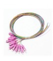 Sc Pigtail 900Um Fiber 50/125 Om4 1 Mt Confezione Da 12 Pezzi Di Colori Differenti